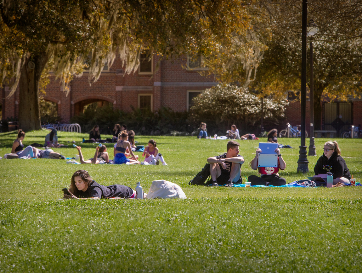 Picture of students on green field at FSU.