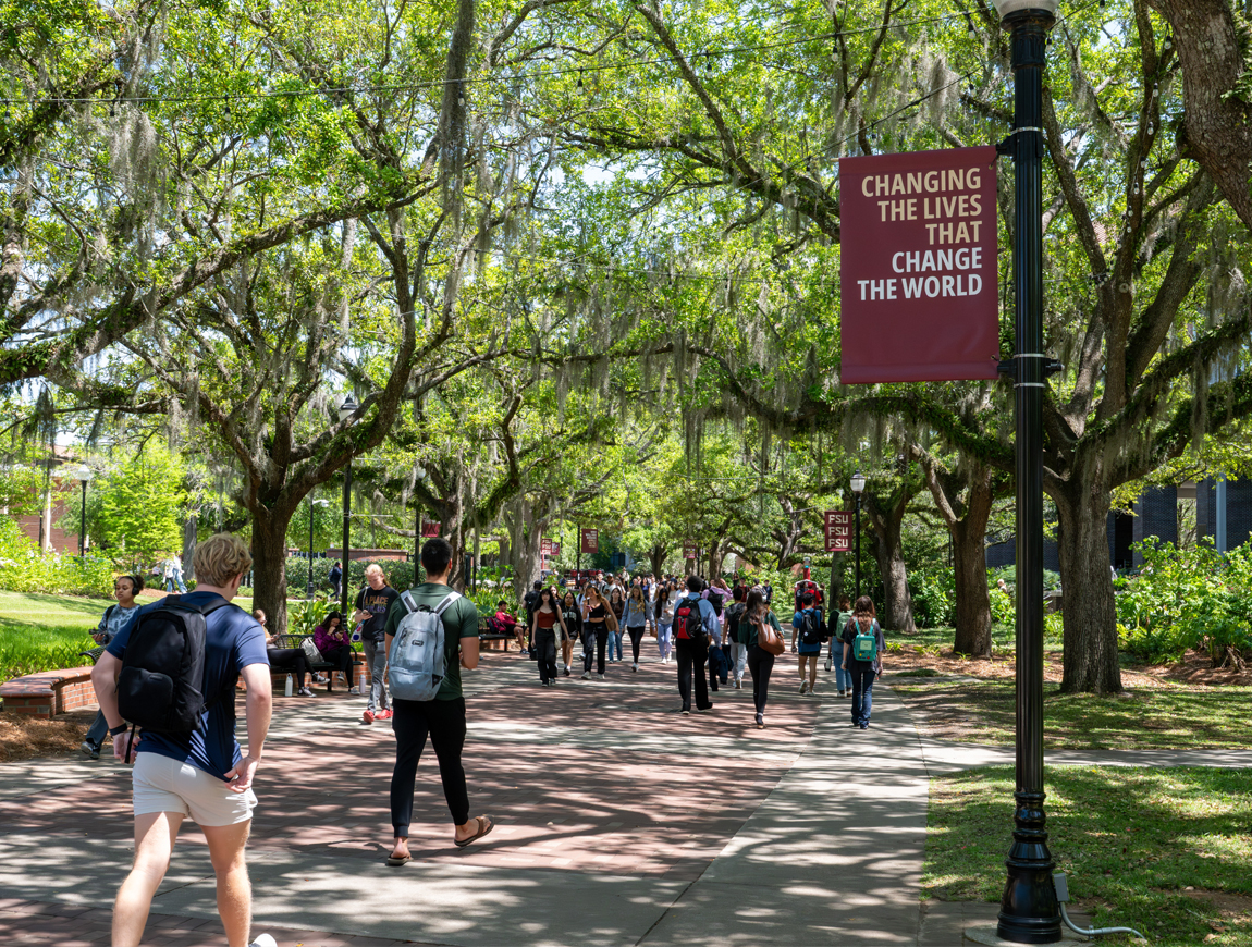 Picture of students walking down path at FSU.