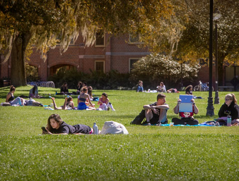 Picture of students on green field at FSU.